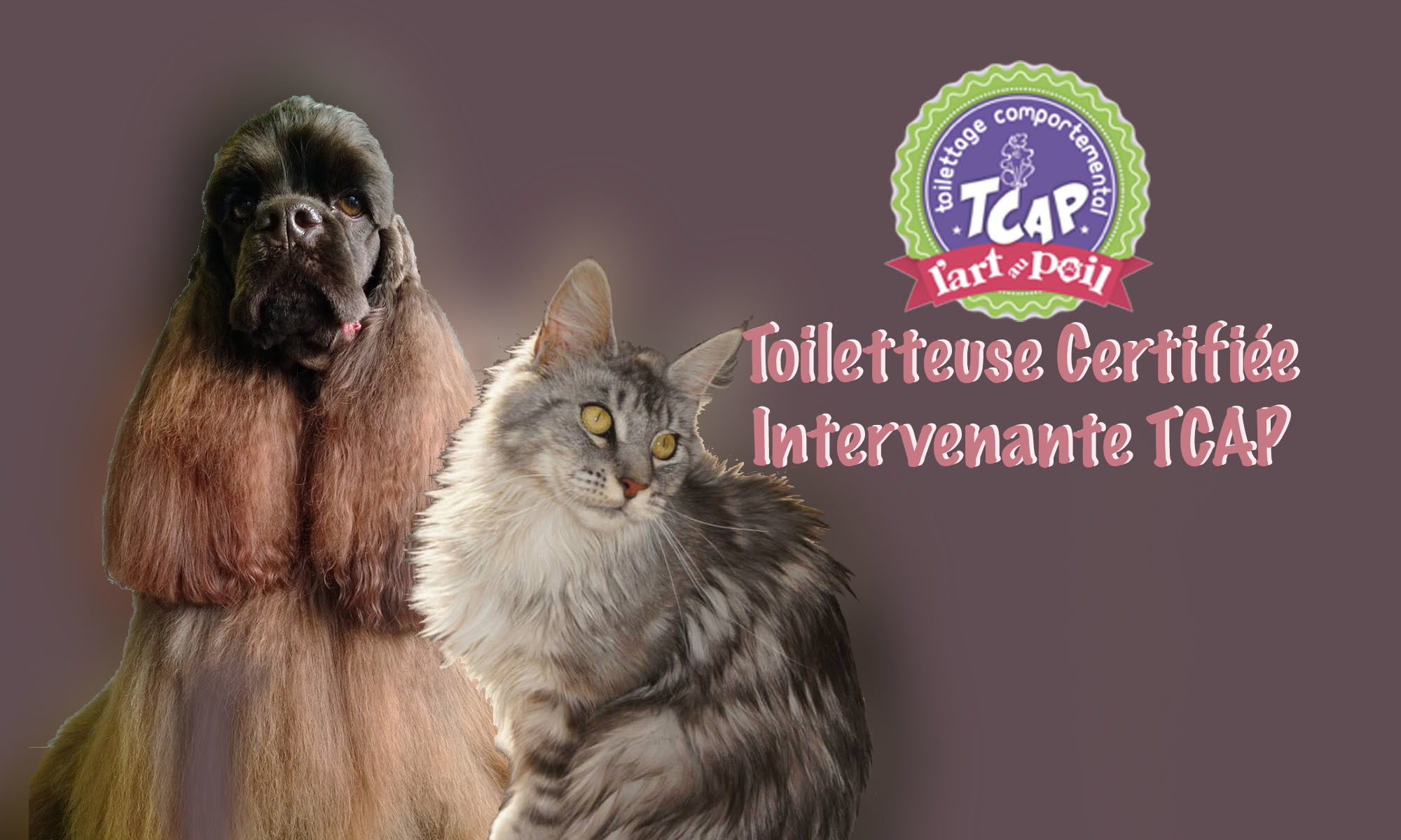 ❧ Institut de toilettage Alt'O Poil ☙   03 27 80 73 40